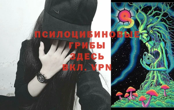 гидропоника Беломорск
