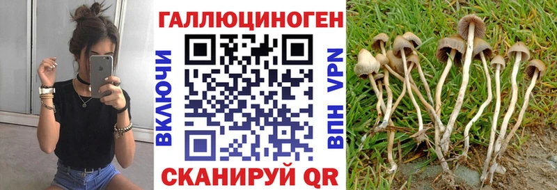 что такое   Семикаракорск  kraken как зайти  Псилоцибиновые грибы прущие грибы 